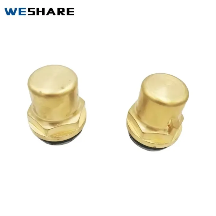 Transformer Oil Drain Valve